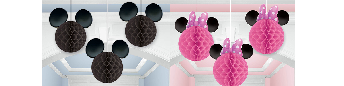 HappyBdayミッキー&ミニー170207